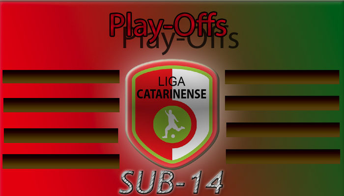 Logo play offs 2018 sub 14