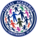 Futsal academia logo azul