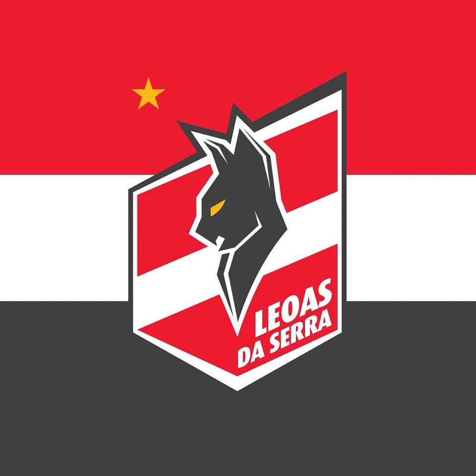 Leoas da serra futsal