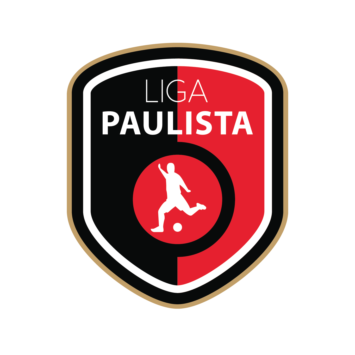 Liga paulista de futsal