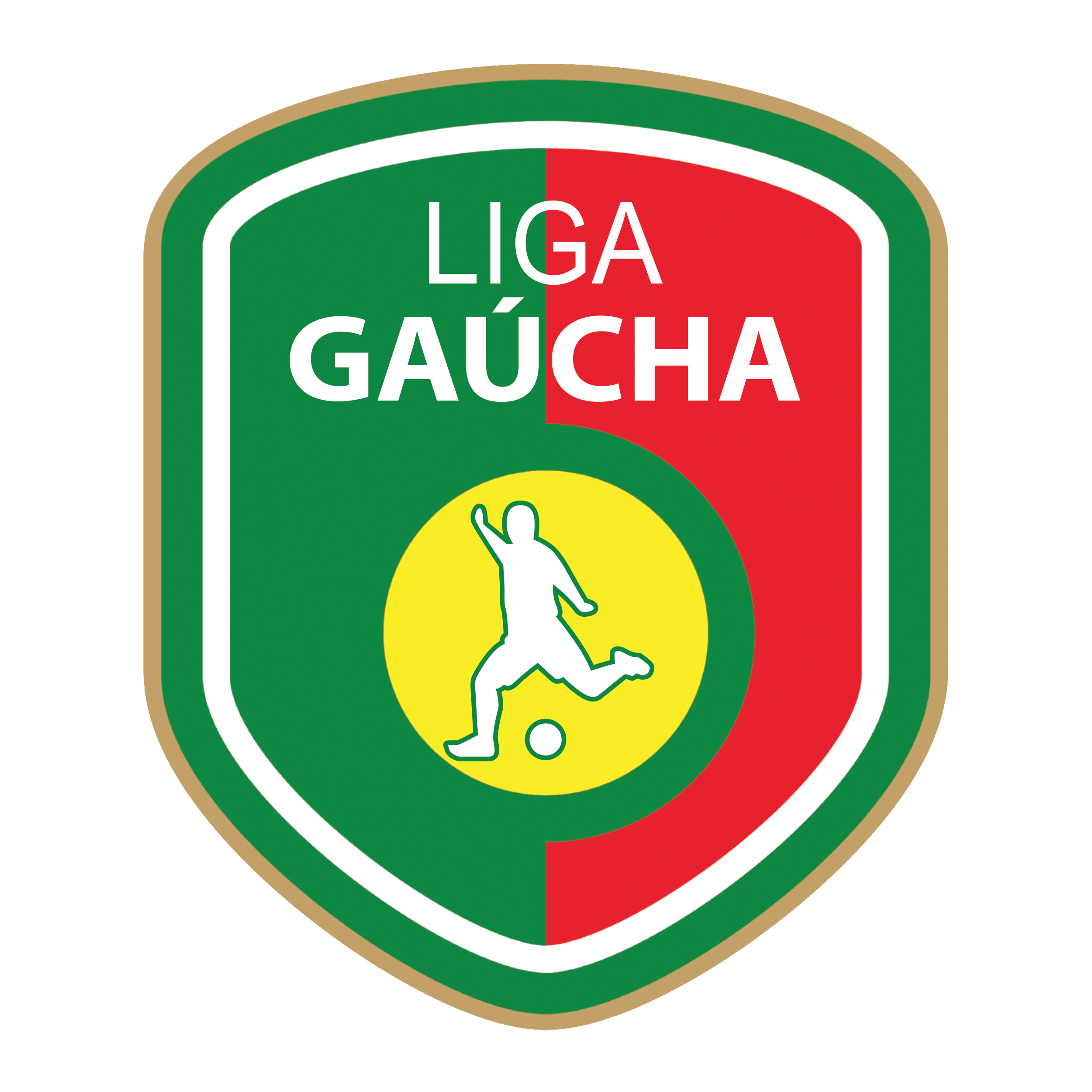 Liga gaucha de futsal