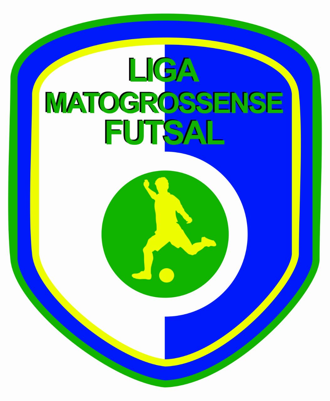 Liga matogrossensse de futsal