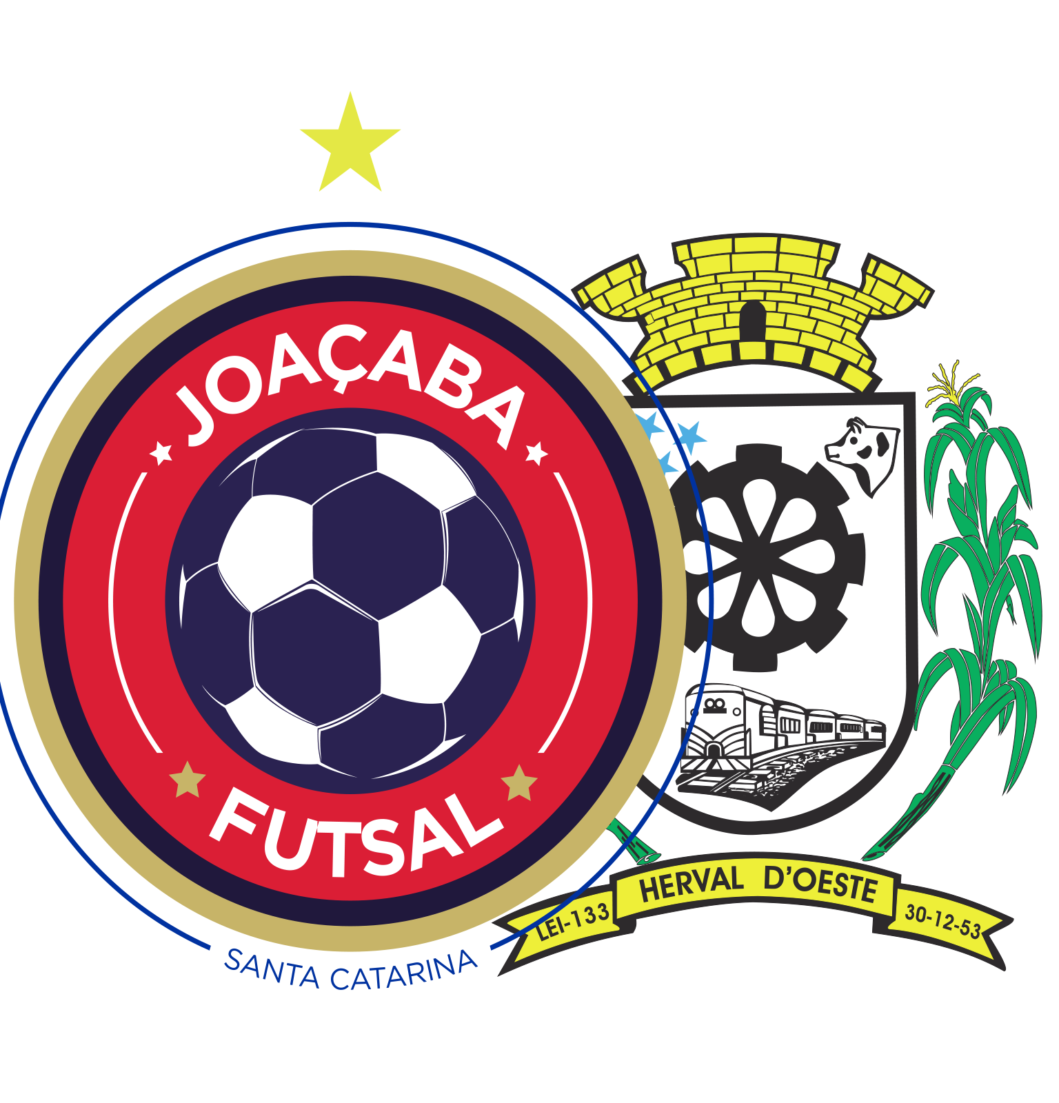 Dme herval do oeste joa%c3%87aba futsal
