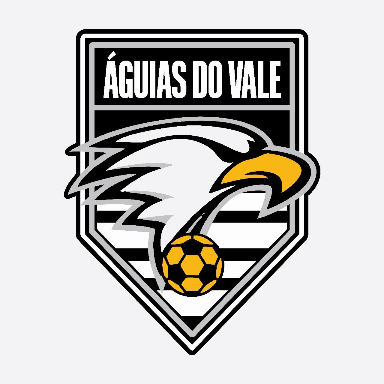 Logo aguias do vale 2